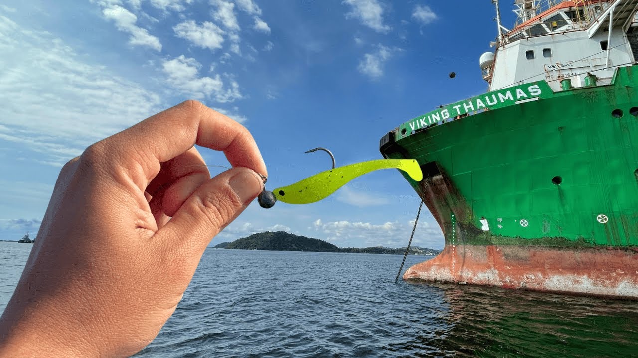PESCA DE ROBALOS COM O NOVO SHAD DA MARÉ NA BAIA DE GUANABARA !!!