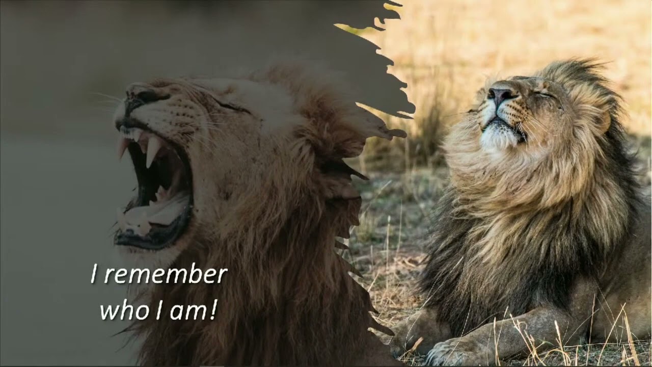 Aha Moments | Rev. Richard Burdick