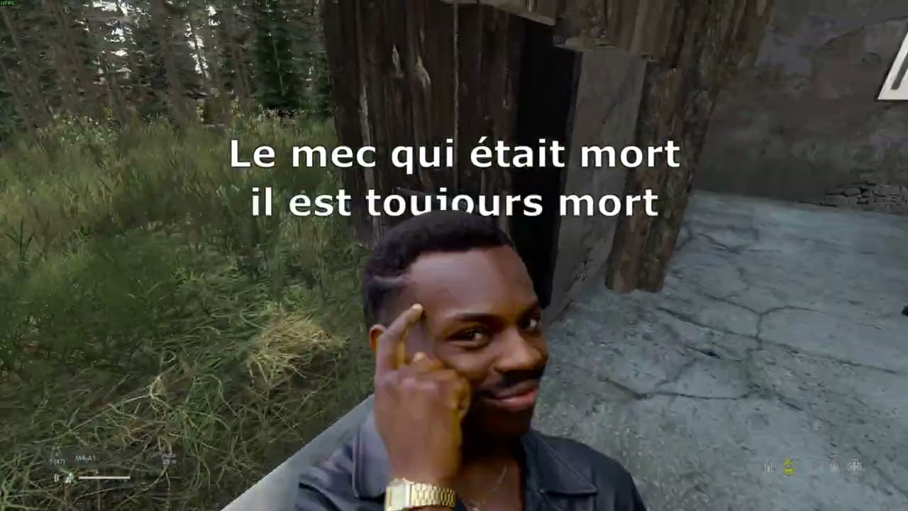 Rien ne va dans ce raid...  DAYZ
