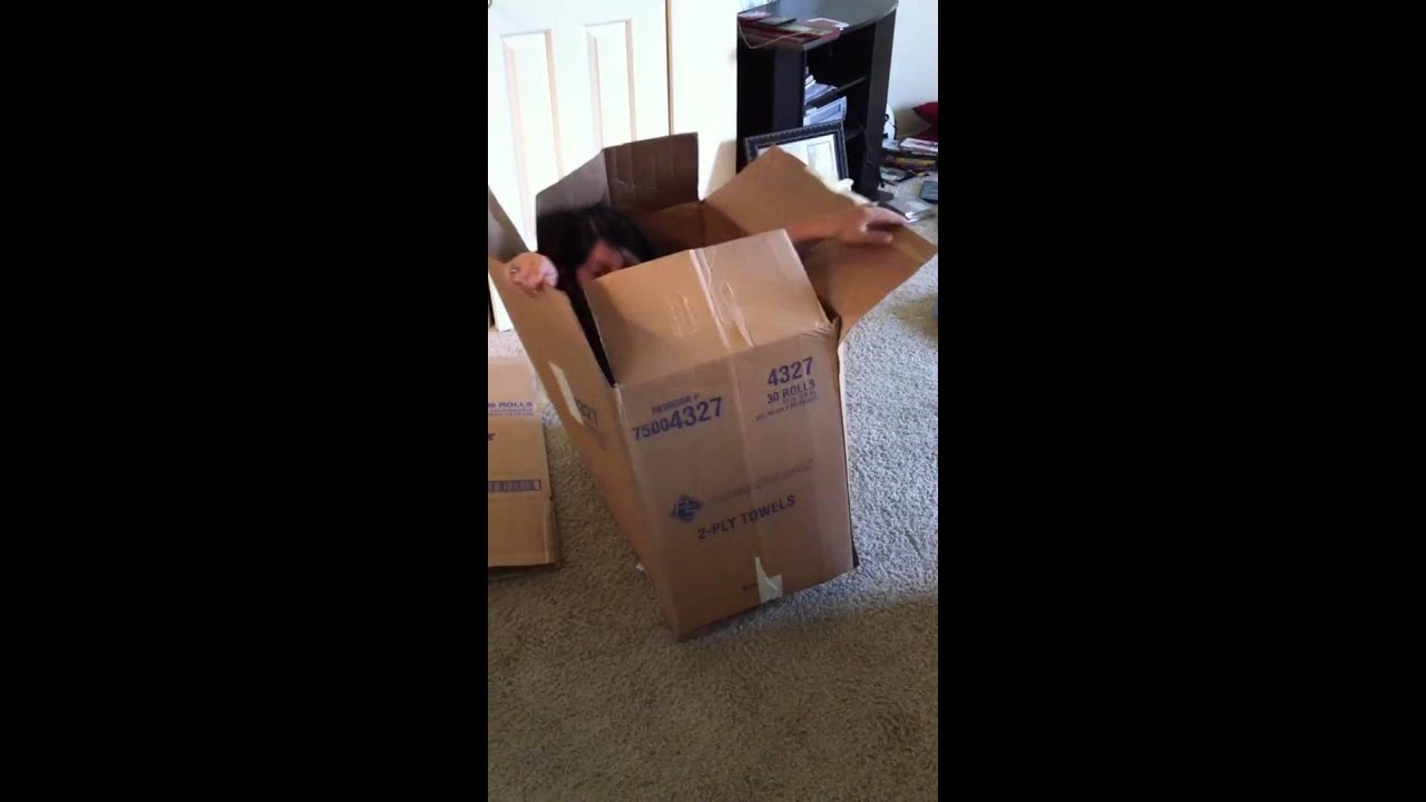 girl get stuck in a box (funny)