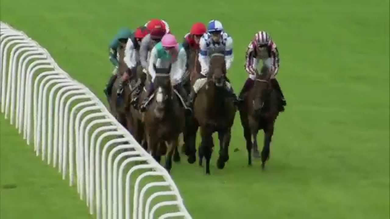 2014 QIPCO Champions Stakes - Noble Mission