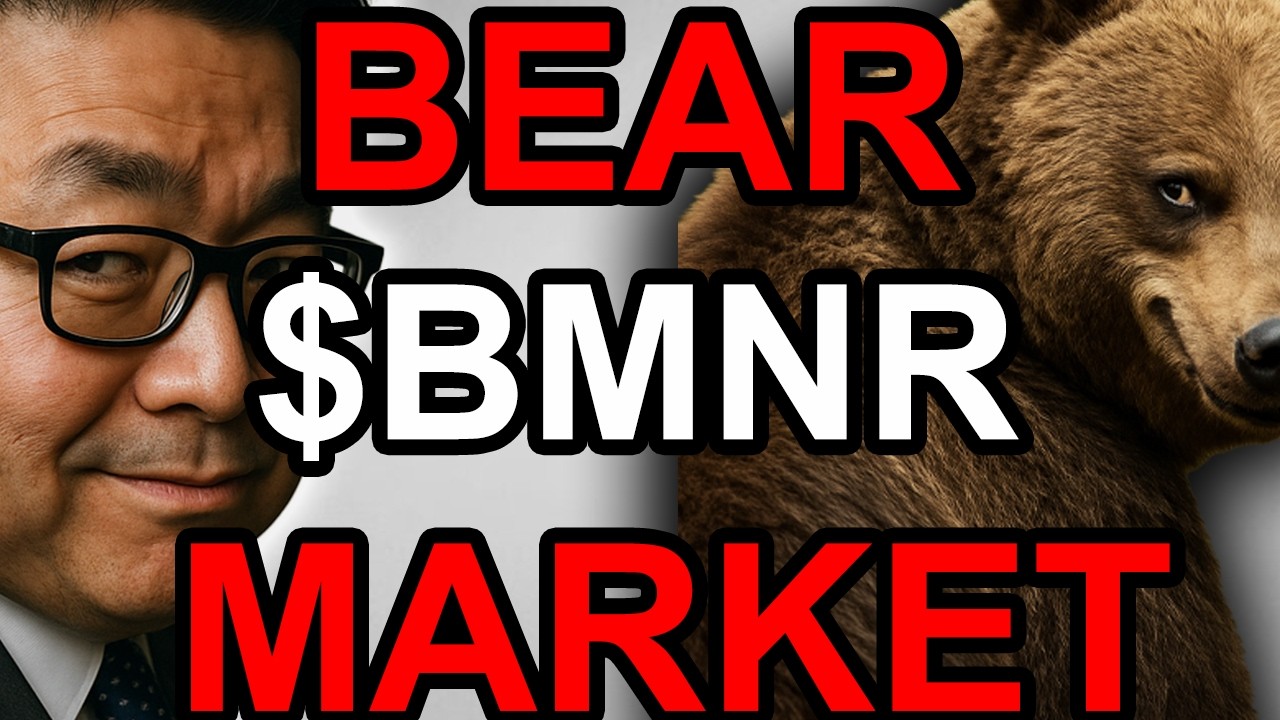 Том Ли: Мы настроены крайне пессимистично = бычий настрой $BMNR
