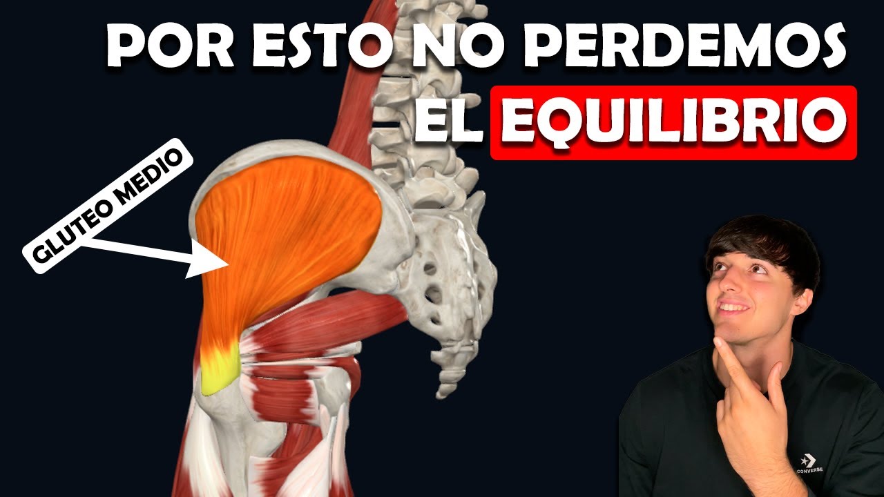 Los músculos que impiden que nos caigamos al suelo al andar o estar de pie - Ep. 20