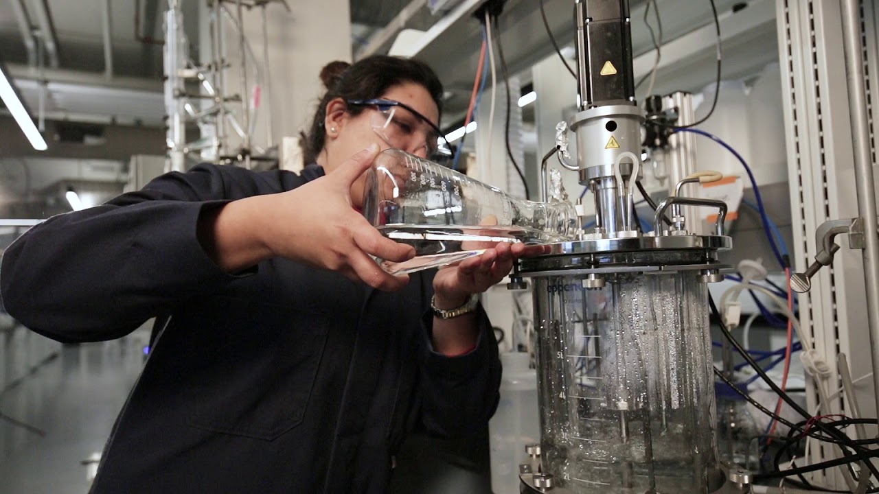 Lambton College's Bio-industrial Process Research Centre