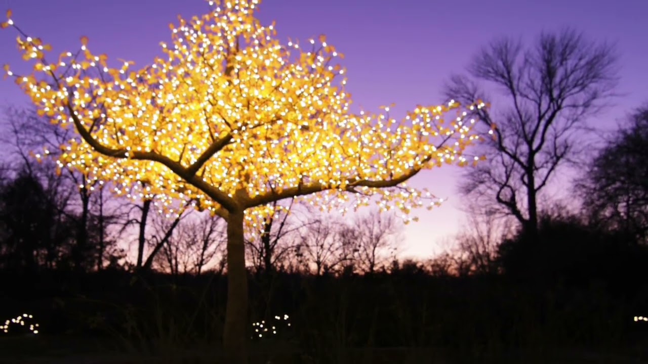 Botanical Garden Glow 2026