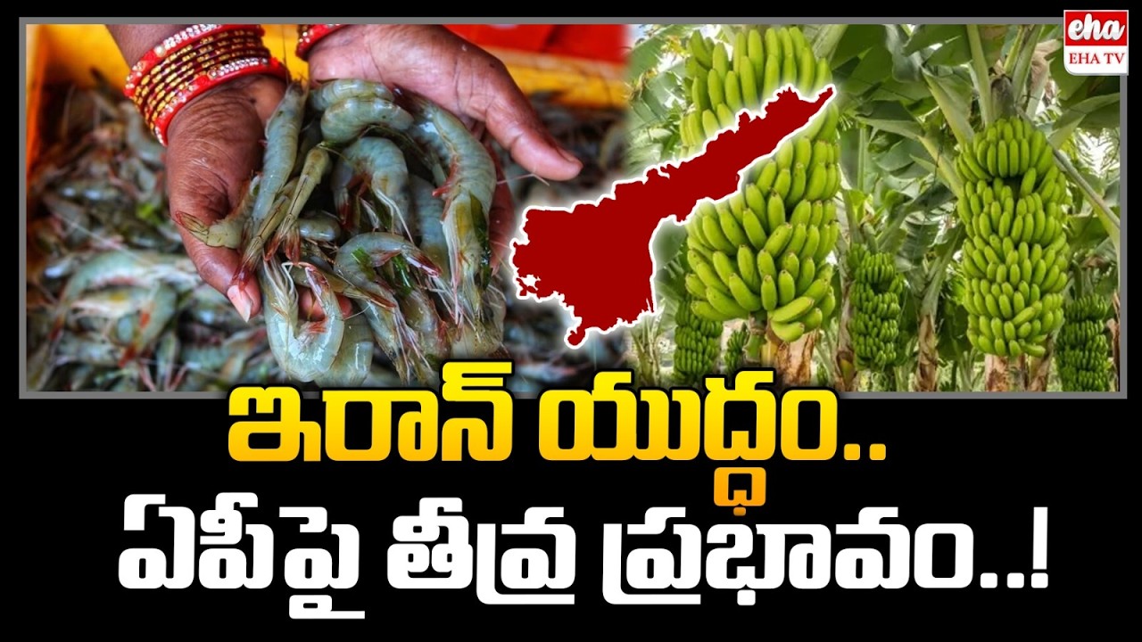 ఇరాన్ యుద్ధం.. ఏపీపై తీవ్ర ప్రభావం..! | Iran Israel War Effect On Prawn Exports | EHA TV