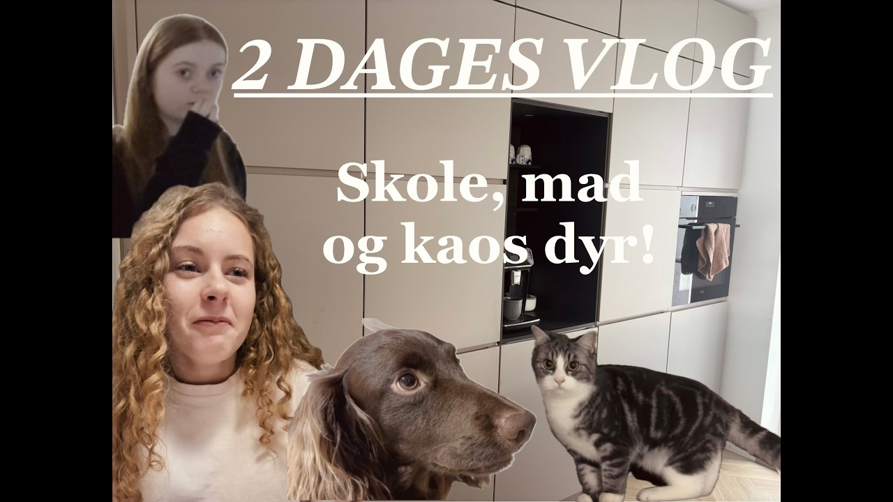 VLOG - SKOLE, MAD & KAOS DYR!