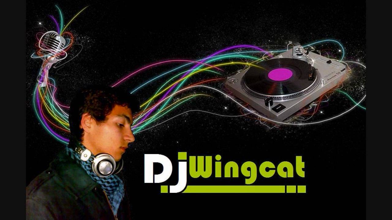Dj Wingcat - I'll Fly With You (Gigi D'Agostino).wmv