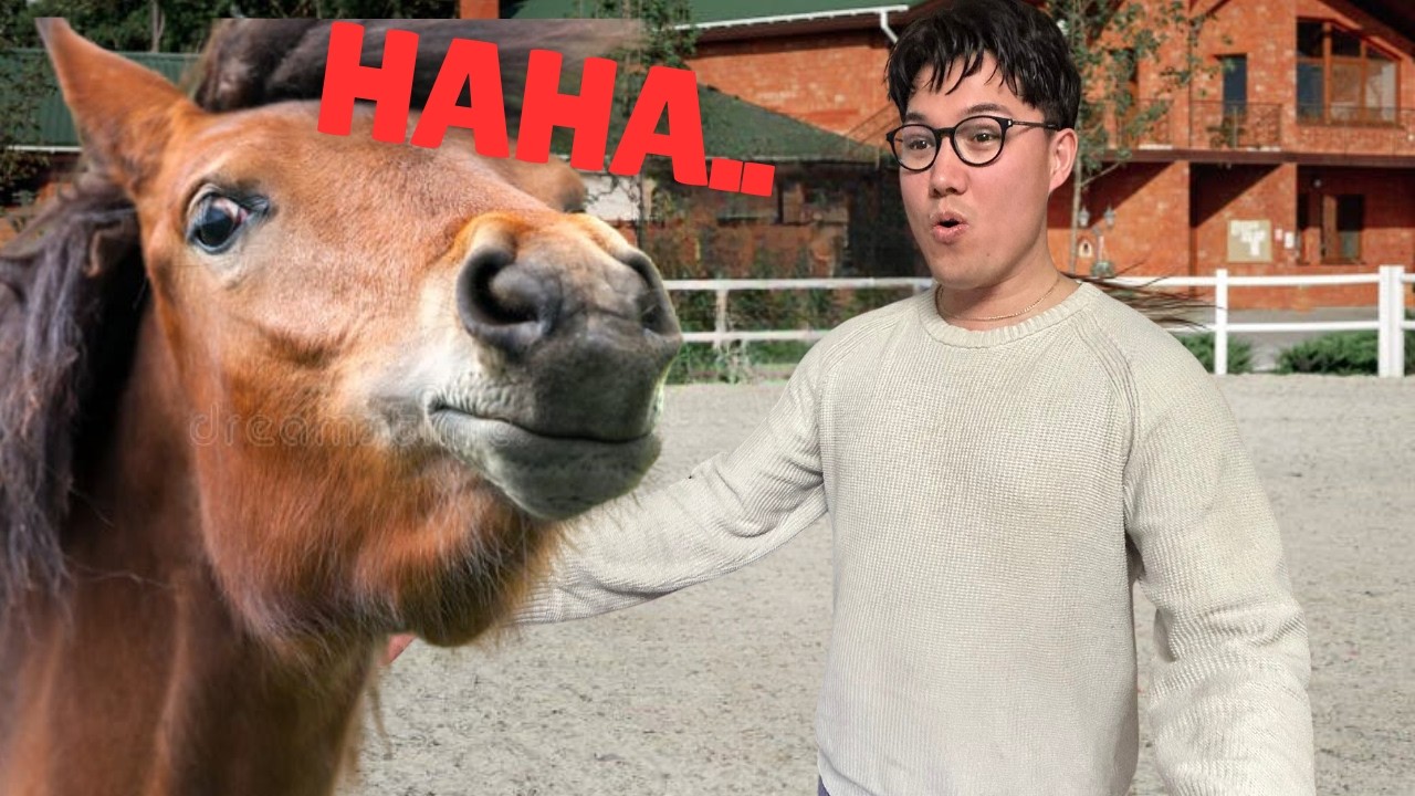 VI BESÖKTE DJUREN OCH HÄSTEN GILLADE INTE MATTEO!