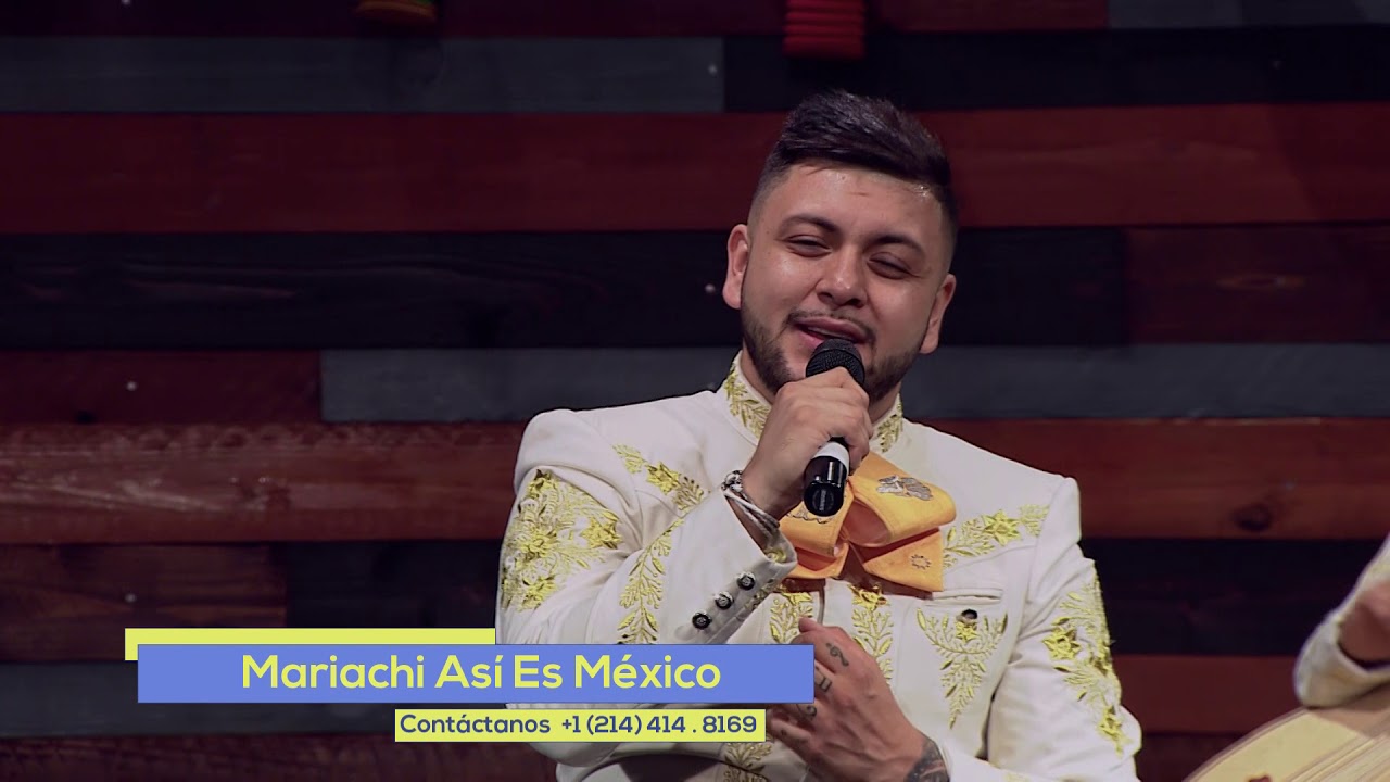Tú Estás Aquí - Mariachi Así Es México (Cover Marcela Gandara )