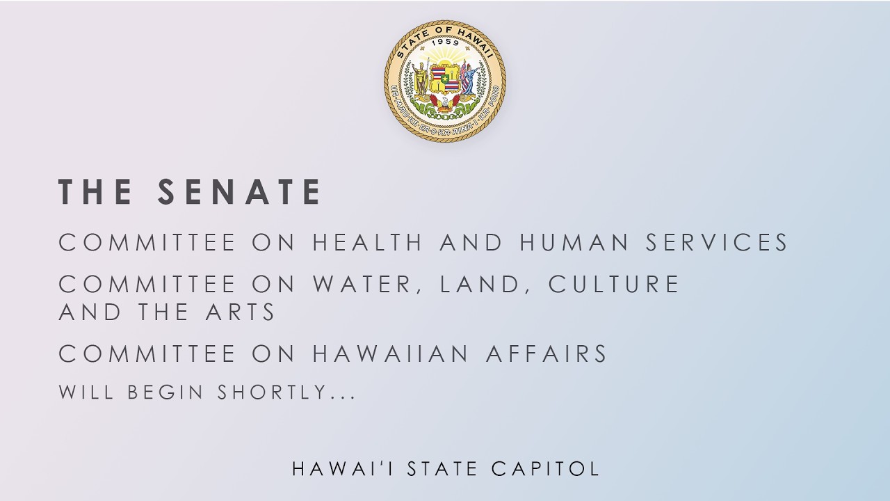 HHS-WLA-HWN, AEN-HWN, HWN DEFER, HWN Public Hearings 02-12-2026