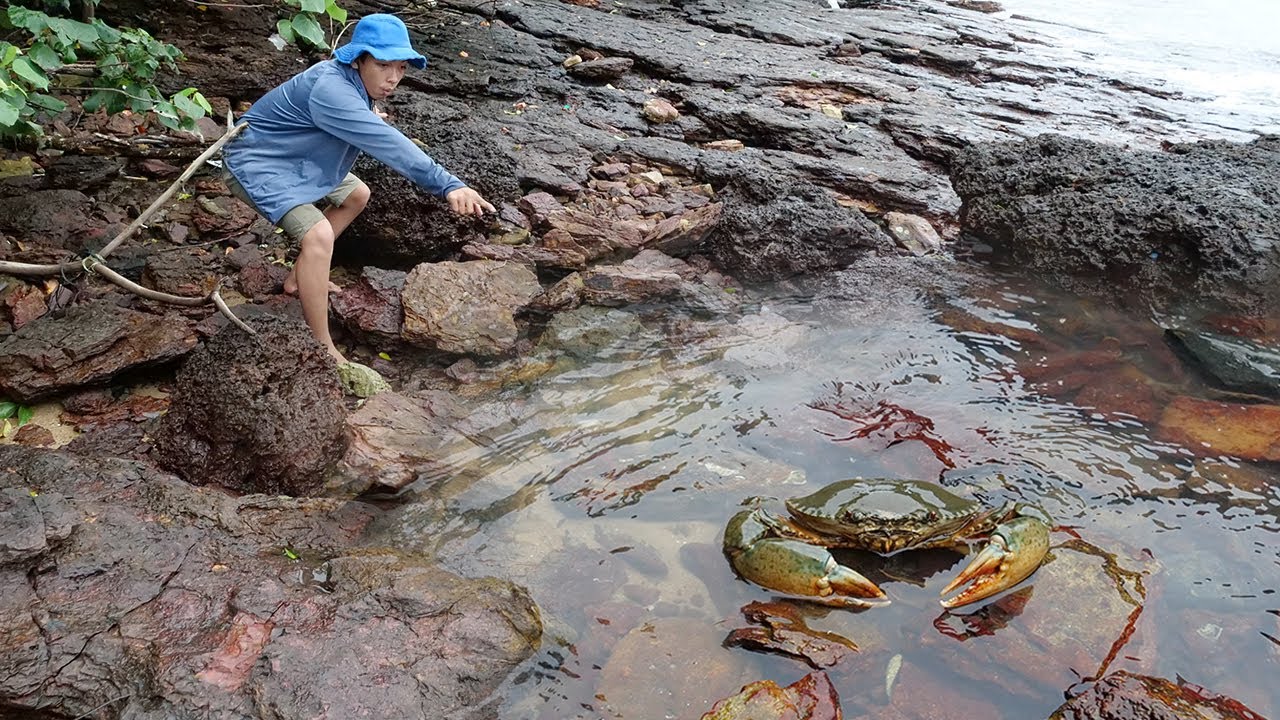 Giant King Crab Catch and Cook At the Beach - Giant Sea Crab Cooking with Big Wave | Wilderness Food