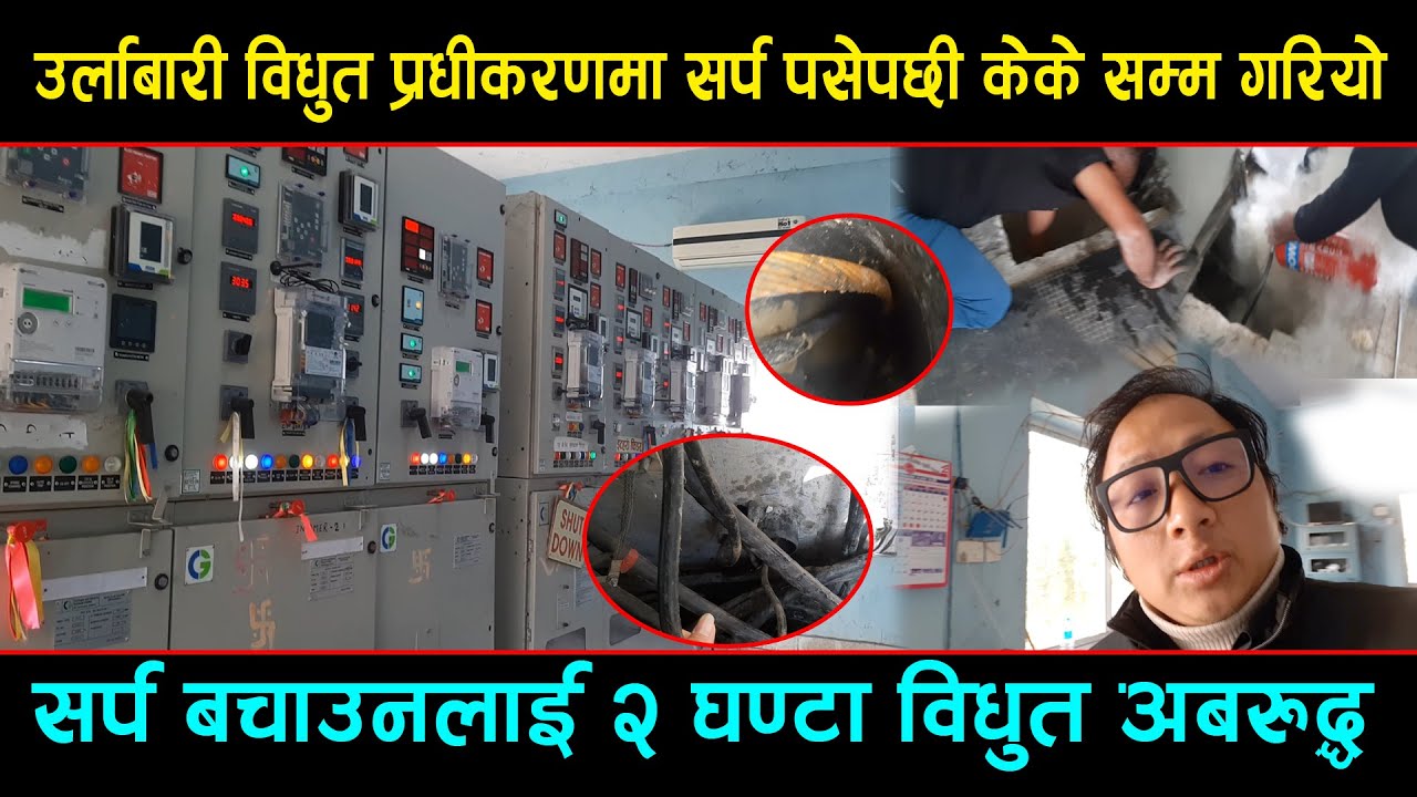 पुगियो सर्प बचाउन बिजुली बत्ती नै अबरुद्ध  उर्लाबारी विधुत प्राधीकरणमा सर्प उद्धार गर्न || Cobra