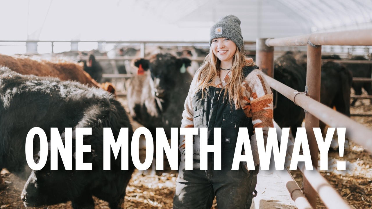 Gearing Up For CALVING SEASON!