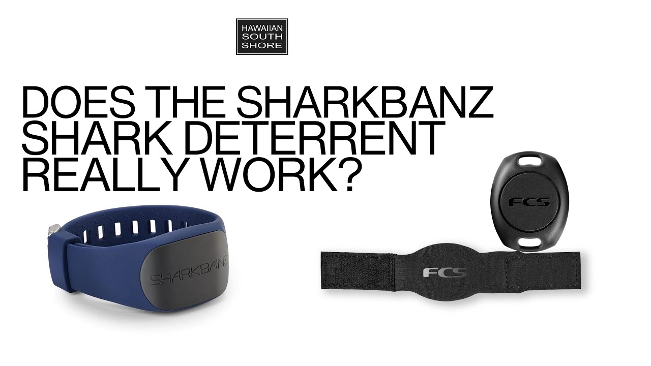 Does Sharkbanz Shark Deterrent Really Work?? 🤔