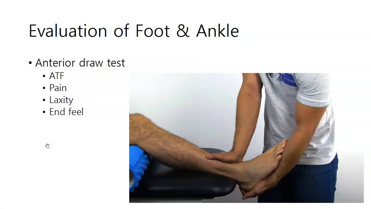 차의과학대학 스포츠의학과 AT foot ankle 3