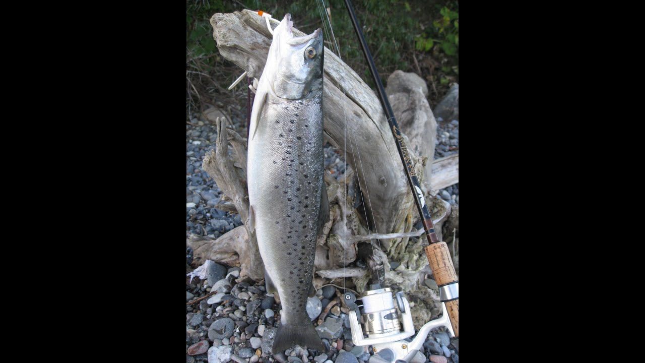 Haunting seatrout on the danish island Møn. Part 5 of 5