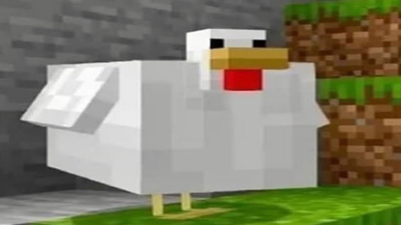 C418 - Chirp played over cursed images of birds