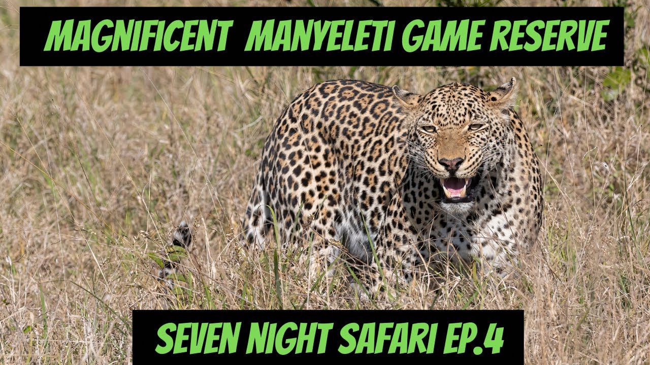 Magnificent Manyeleti Game Reserve - 7 Night Safari  Ep.4