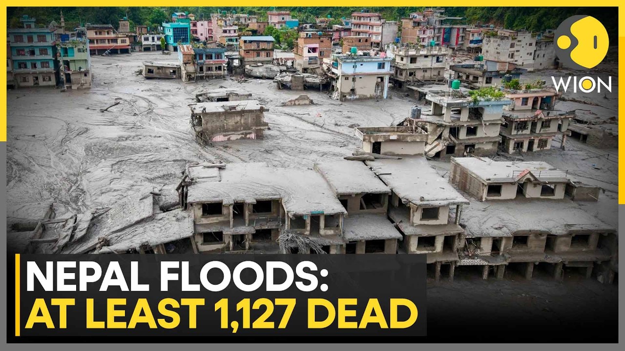 Nepal Floods: 24 Found Dead In A House, More In Narayani River | WION News