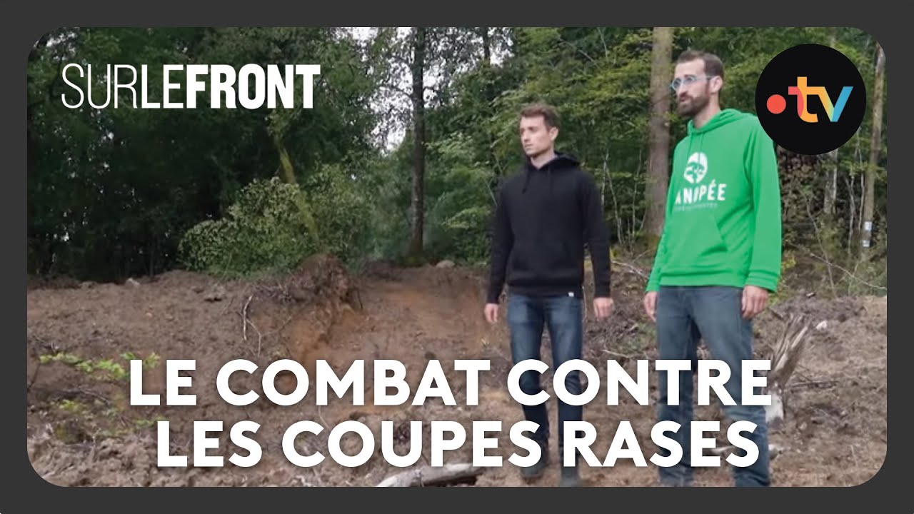 For&ecirc;ts fran&ccedil;aises : Le combat contre les coupes rases - Sur le front avec Hugo Cl&eacute;ment