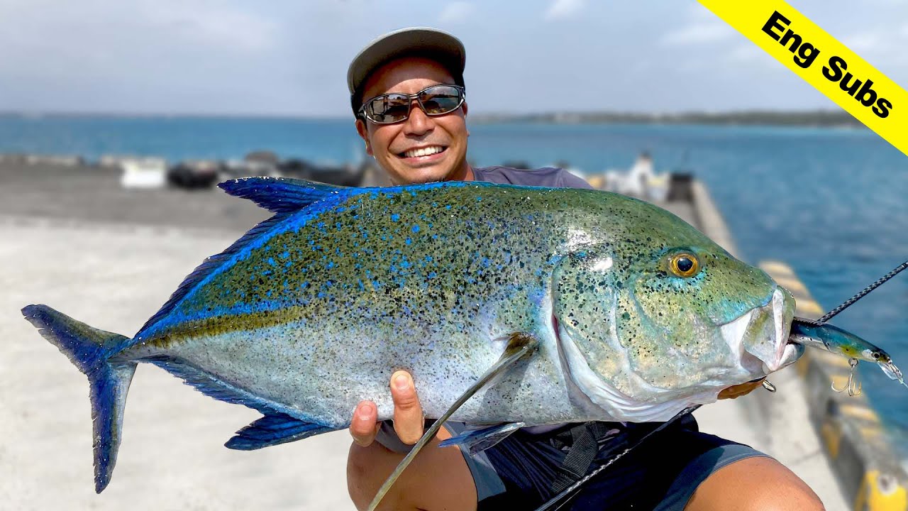 漁港の巨大カスミアジを釣るまでの一部始終【与論島】How to Catch Giant Bluefin Jack in Harbor