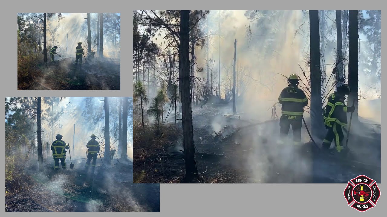 Brush Fire on Milano Ave S