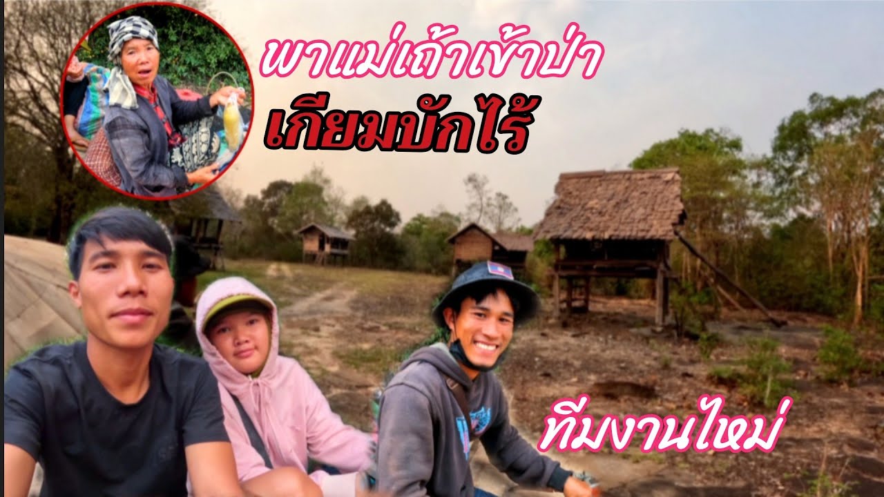 18 มีนาคม ค.ศ. 2026พาแม่เฒ้าเข้าป่าเตียมบักไร่//ພາແມ່ເຖົ້າເຂົ້າປ່າກຽມບັກໄຮ່