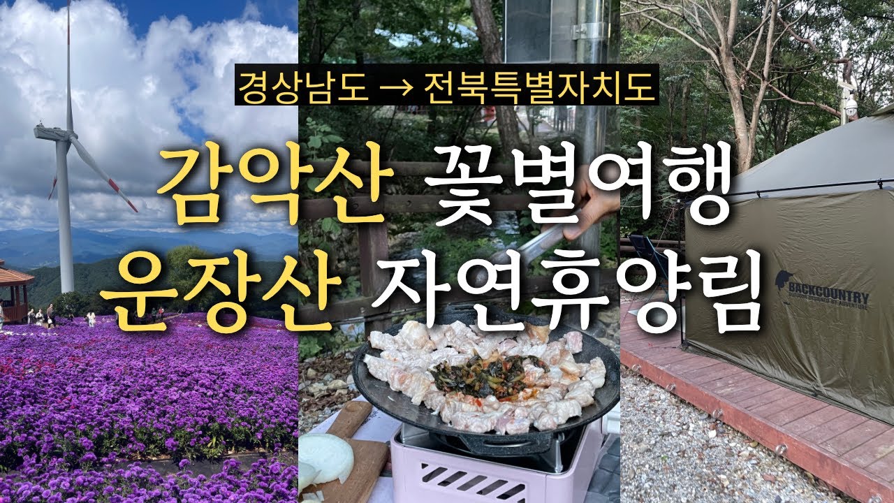 거창 감악산 아스타국화 꽃별여행에서 진안 운장산 자연휴양림 캠핑까지 🏕️