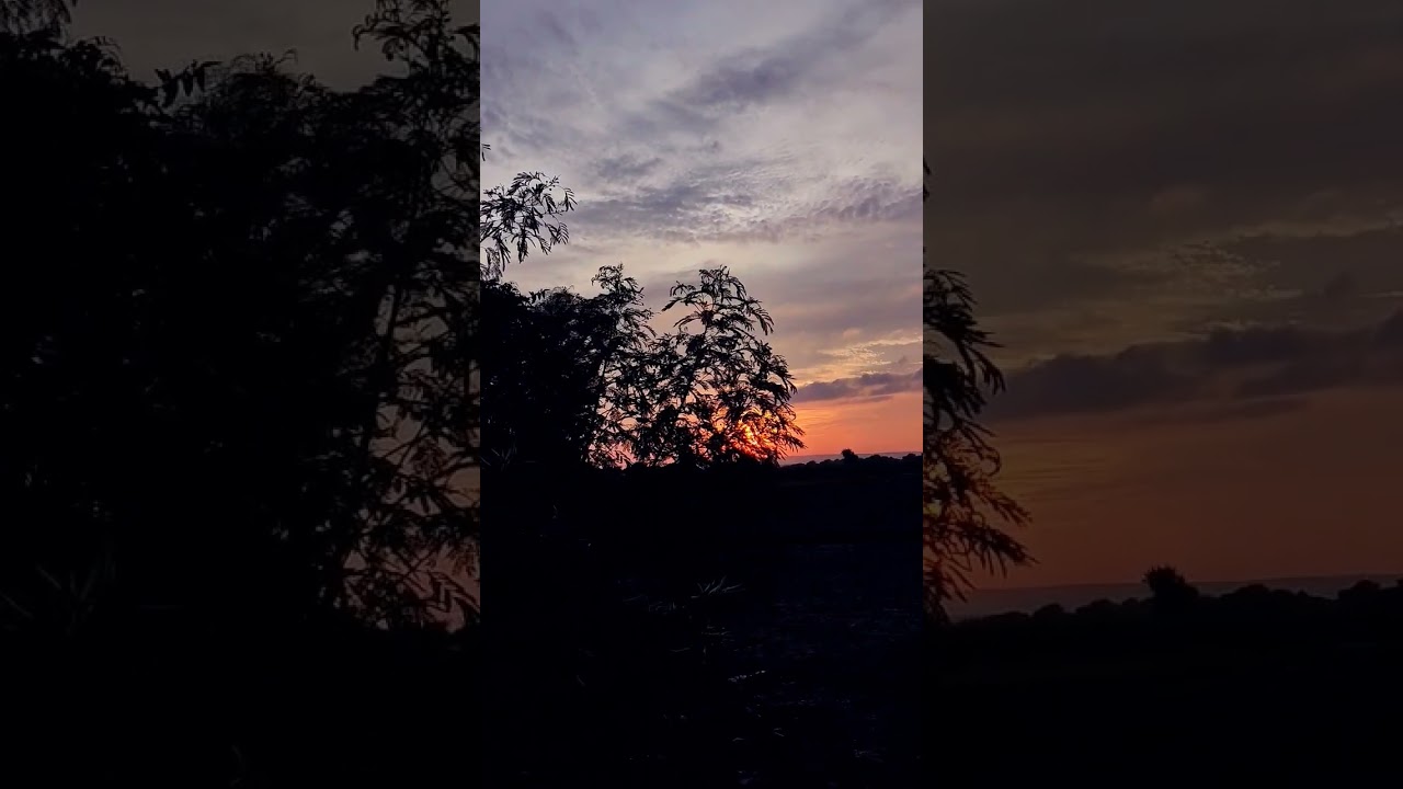 wow #sunset #shots #viral #trending #reels #nature #travel #village #video #vlog