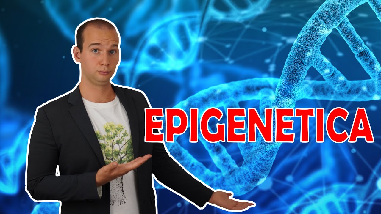 Che cos'è l'Epigenetica? (può cambiare la tua vita?)