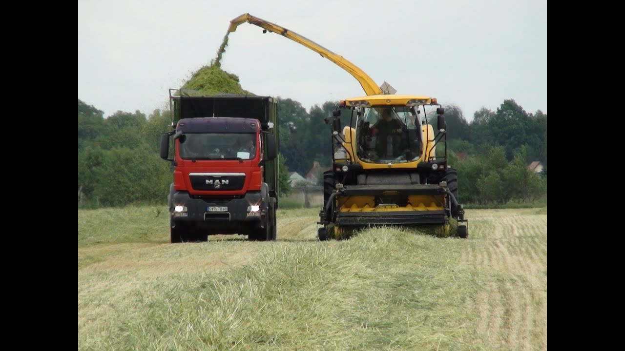 Grünroggen 2014 /// Attacke auf dem Acker