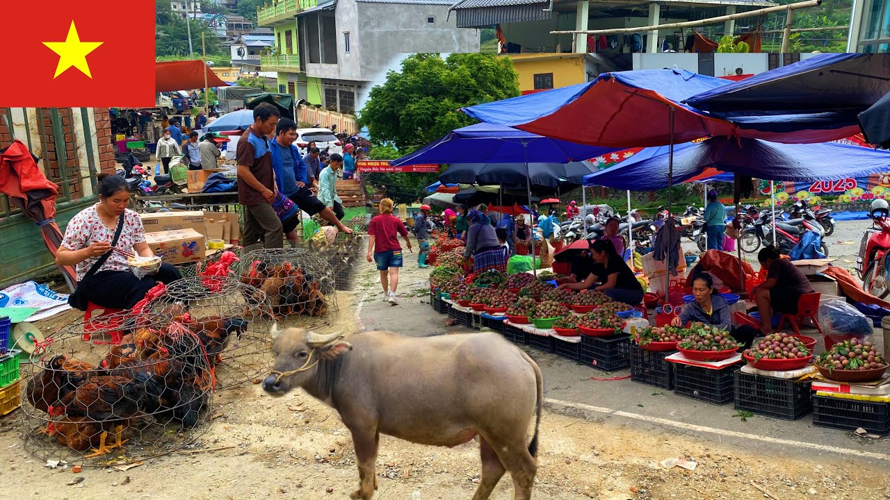 Discover the REAL Beauty of Bac Ha's Traditional Market