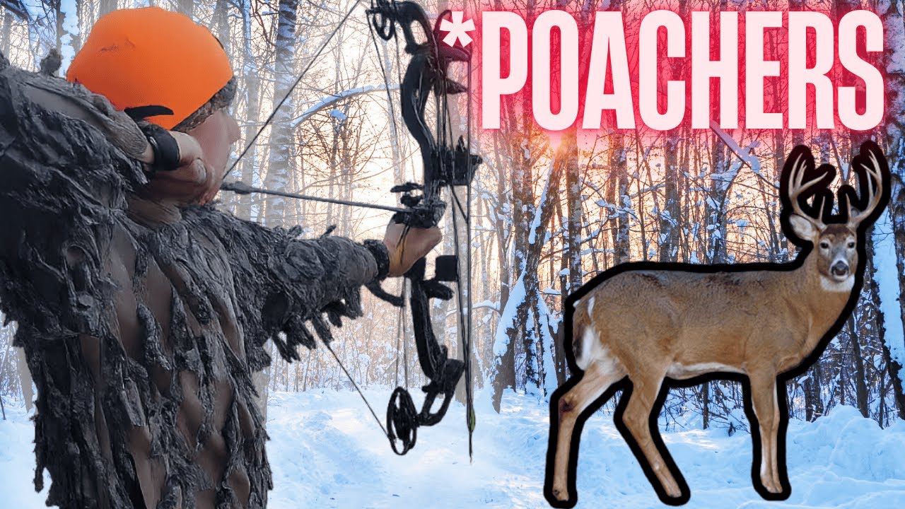 Bow Hunting BLIND in a Ghillie Suit -Arrow Loosed!