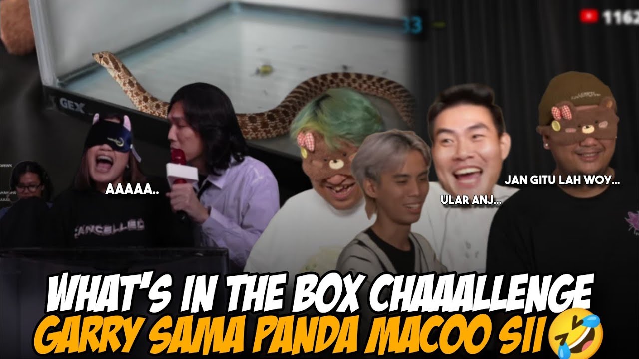 WHAT'S IN THE BOX CHAAALLENGE EDISI HEWAN🤣 GARRY KO MACOO🤣 #aaaclan #marapthon3