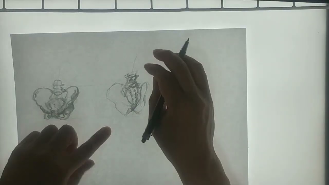 練習15（腰2）※4倍速