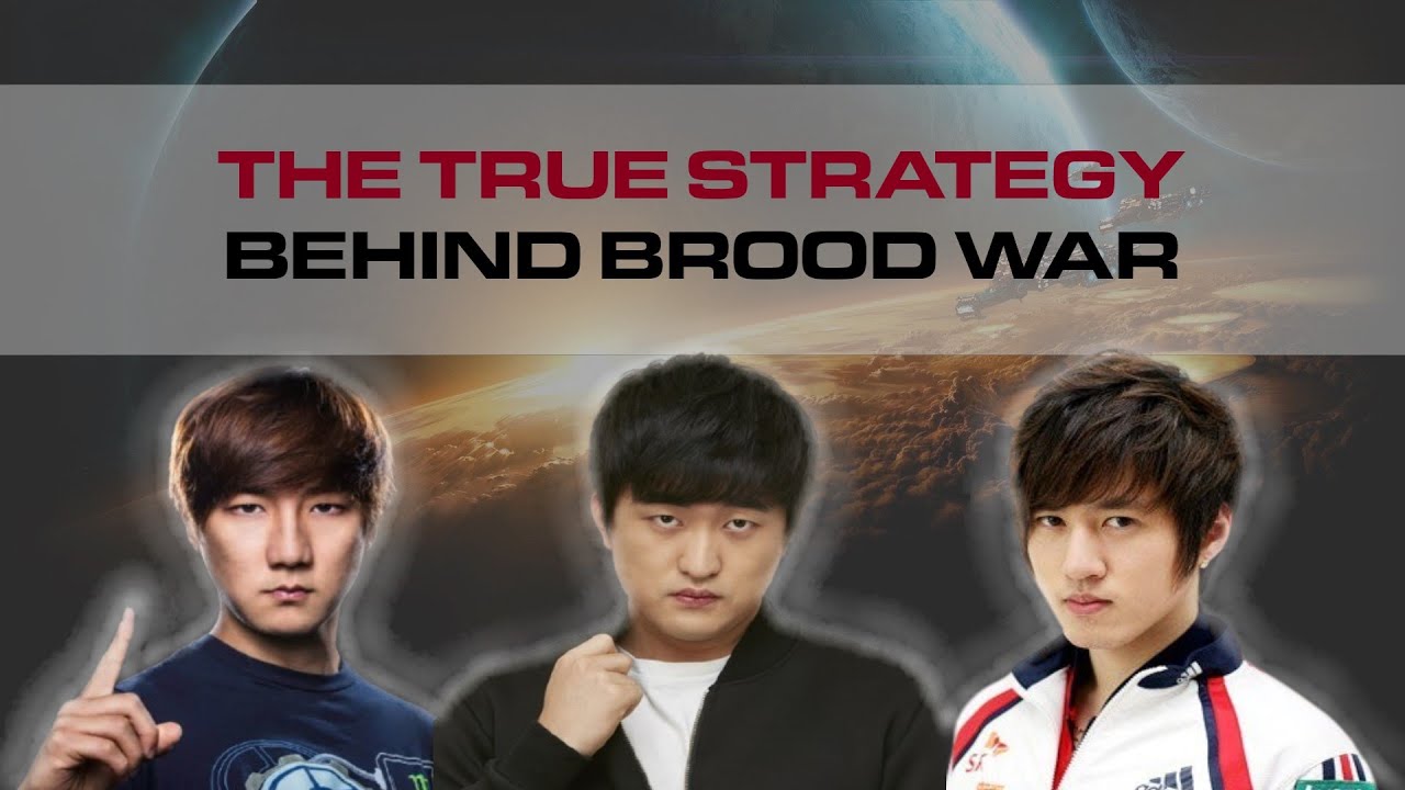 The True Strategy Behind Brood War