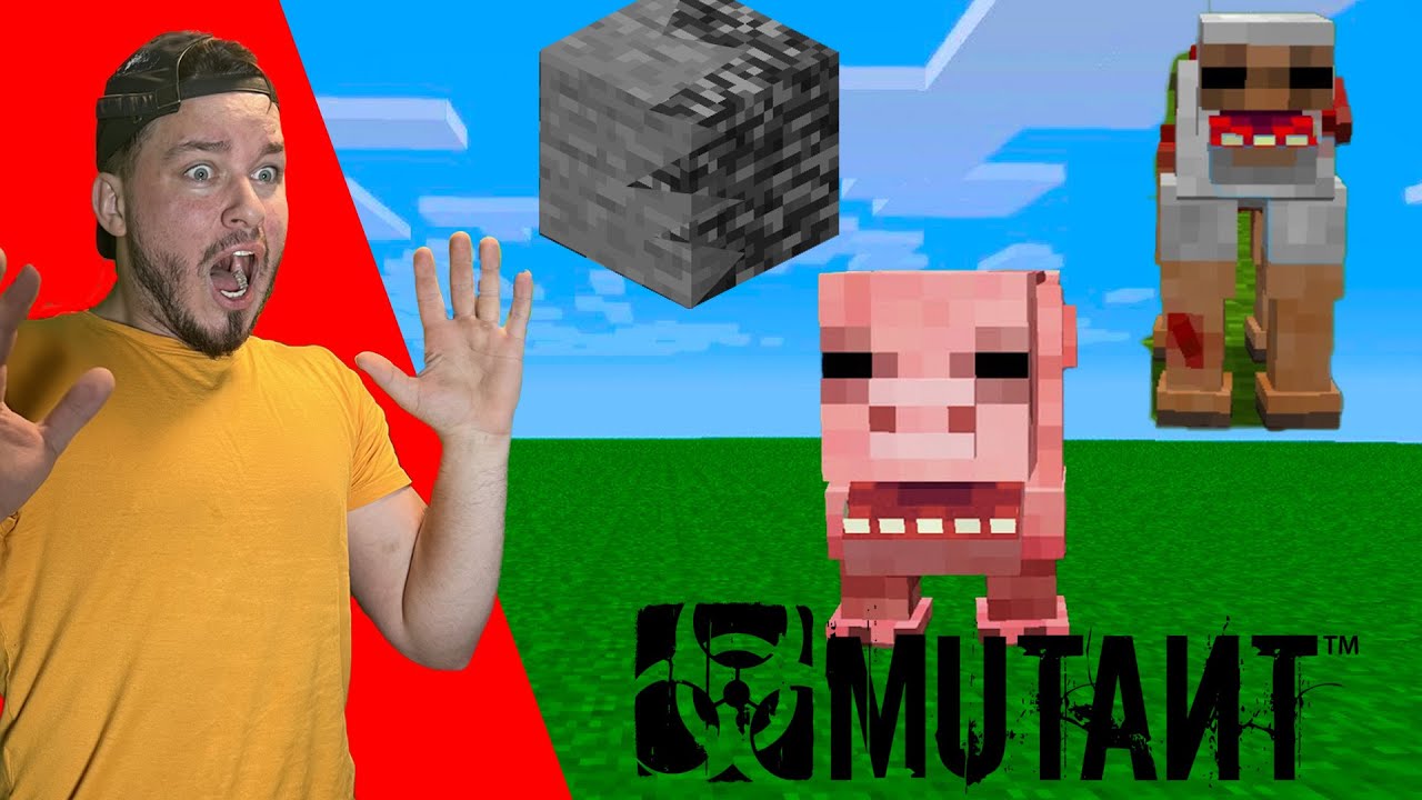 Something is REALLY off with my version of Minecraft...