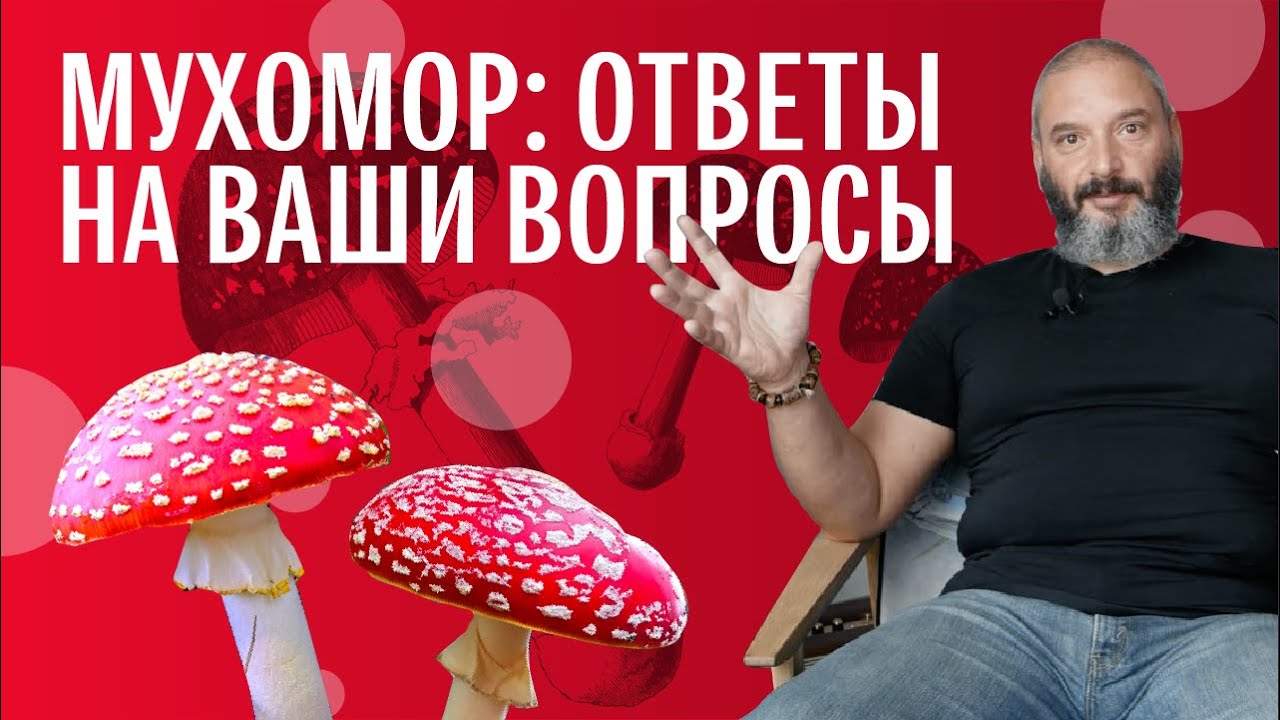 Ответы на вопросы: Мухомор. От Токсикологии до Властелина Колец. Михаил Вишневский