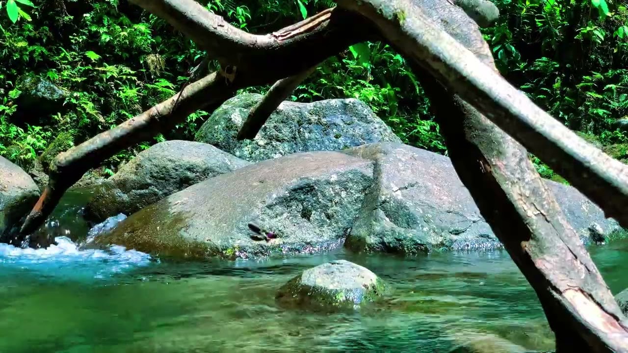Deep Sleep Tropical River 3 Hours Pure Nature White Noise from Java Rainforest Gomblang Area