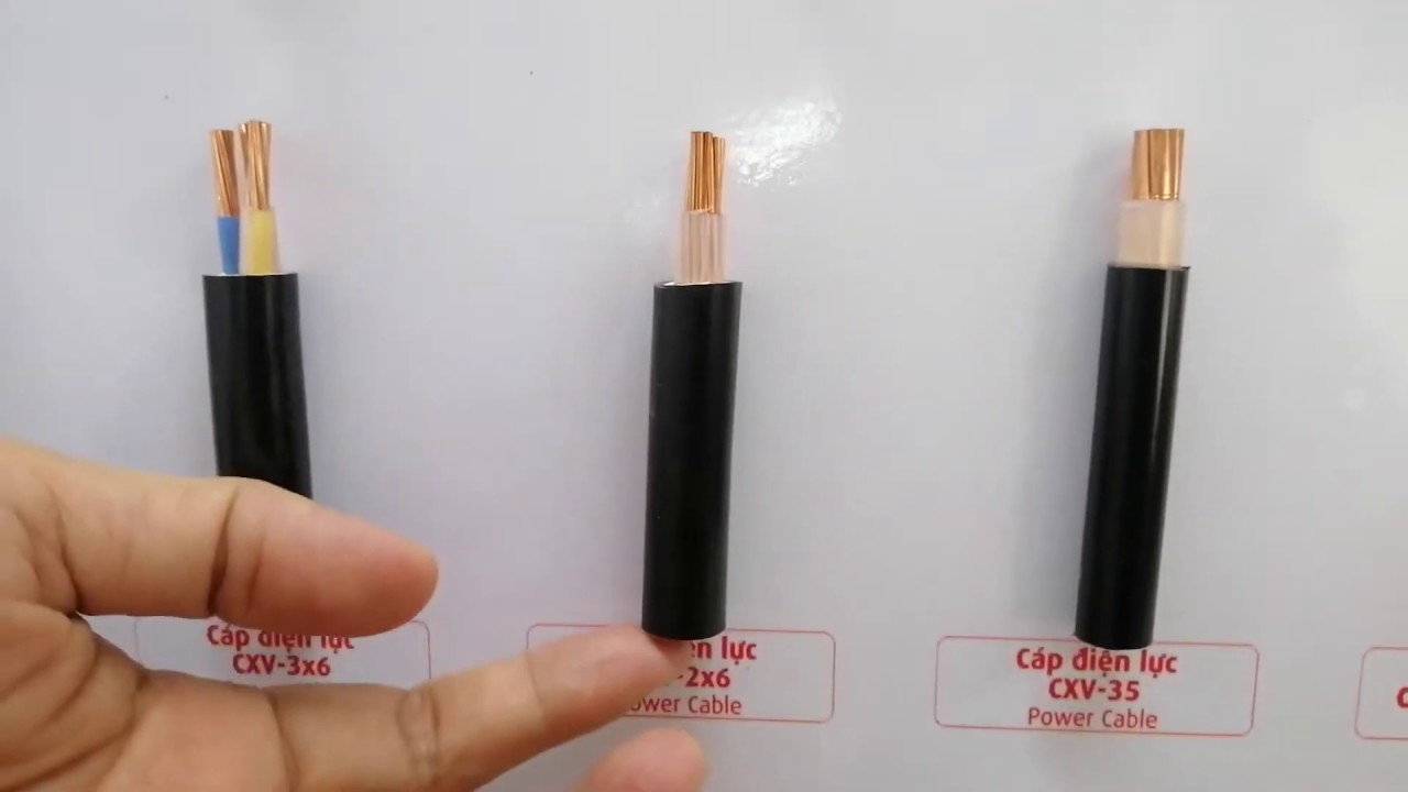 Cáp CADIVI CXV - 2x6, CXV - 2x10 - Cáp Bọc Hạ Thế
