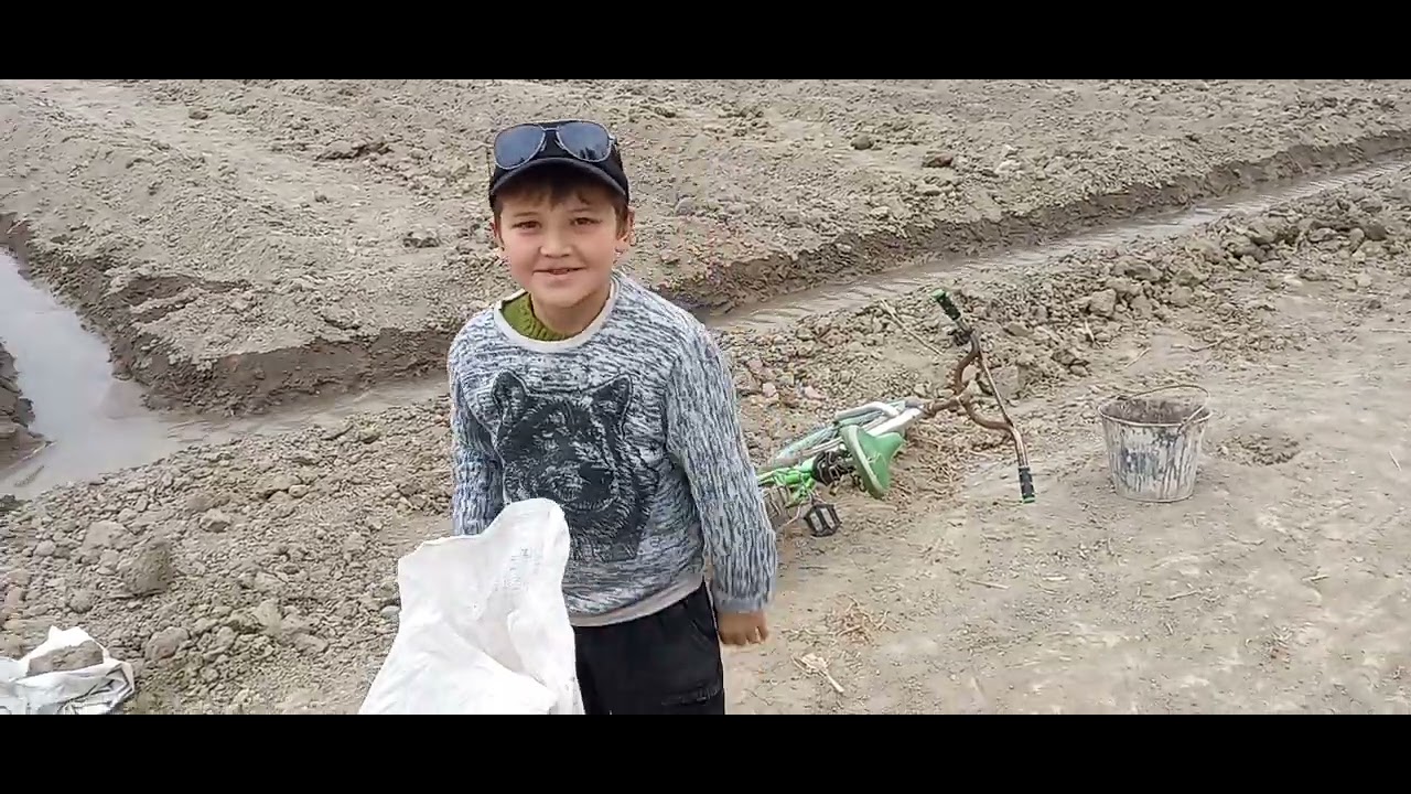 Тарвузга  биягомус солиш жараёни.