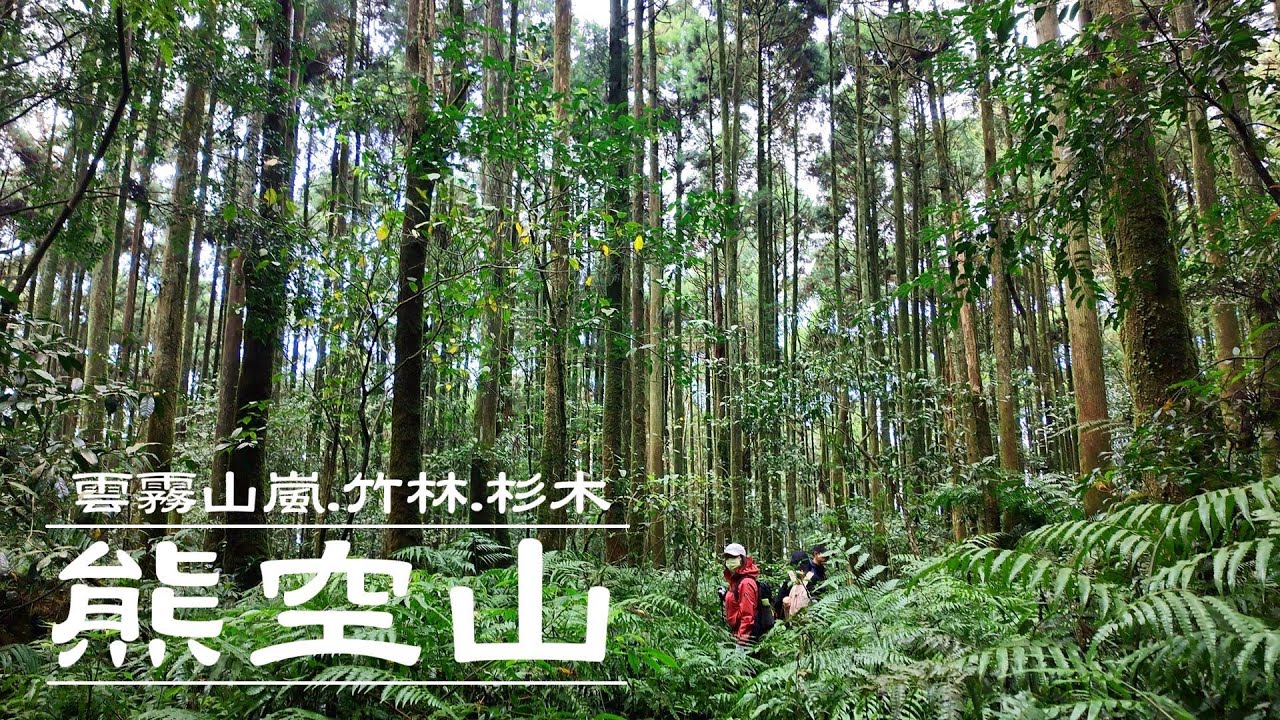 ｜ 三峽熊空山 ｜ 雲霧山嵐竹林杉木林 ｜ 北大清肺農場 ｜ 三等三角點 ｜ 爬山 ｜ 健行 ｜ 戶外運動 ｜ 郊山 ｜