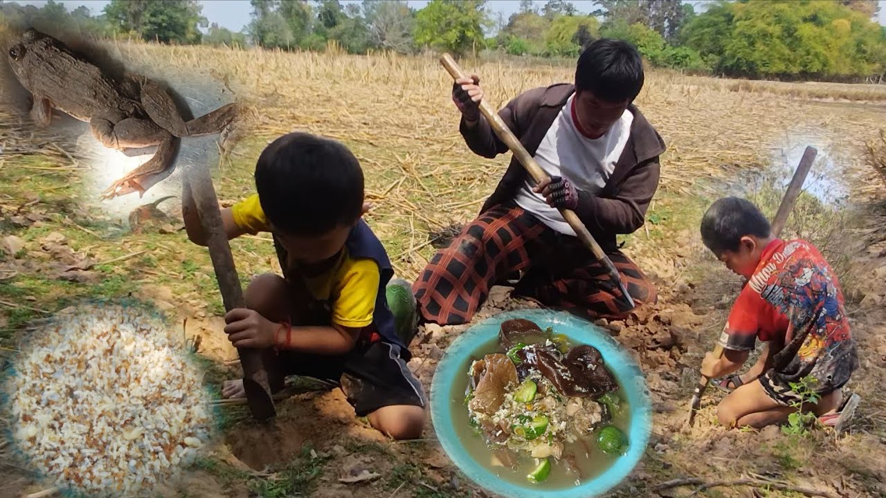 7 กุมภาพันธ์ ค.ศ. 2026