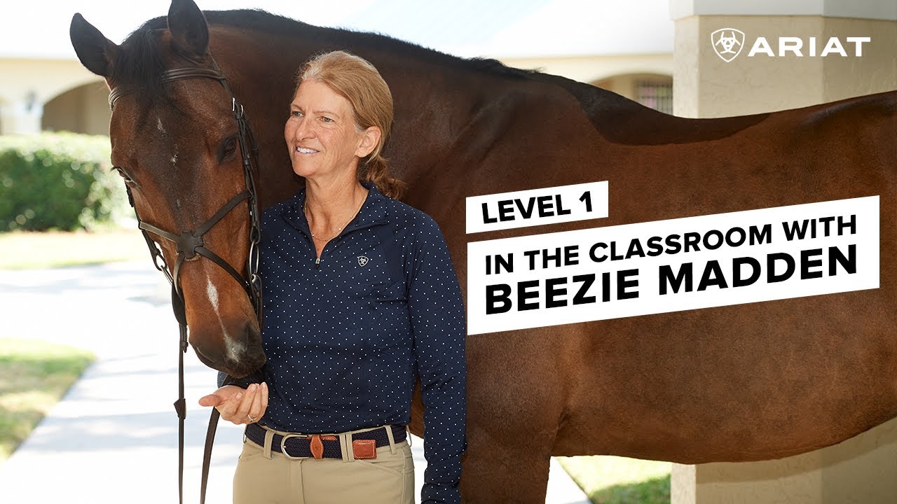 Beezie Madden Classroom Series | Level 1 Session