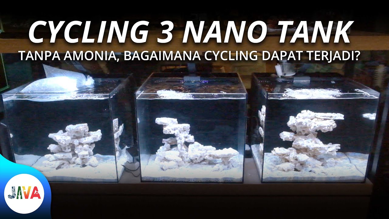UDPATE PROSES CYCLING 3 TANK MANTIS RUBICON