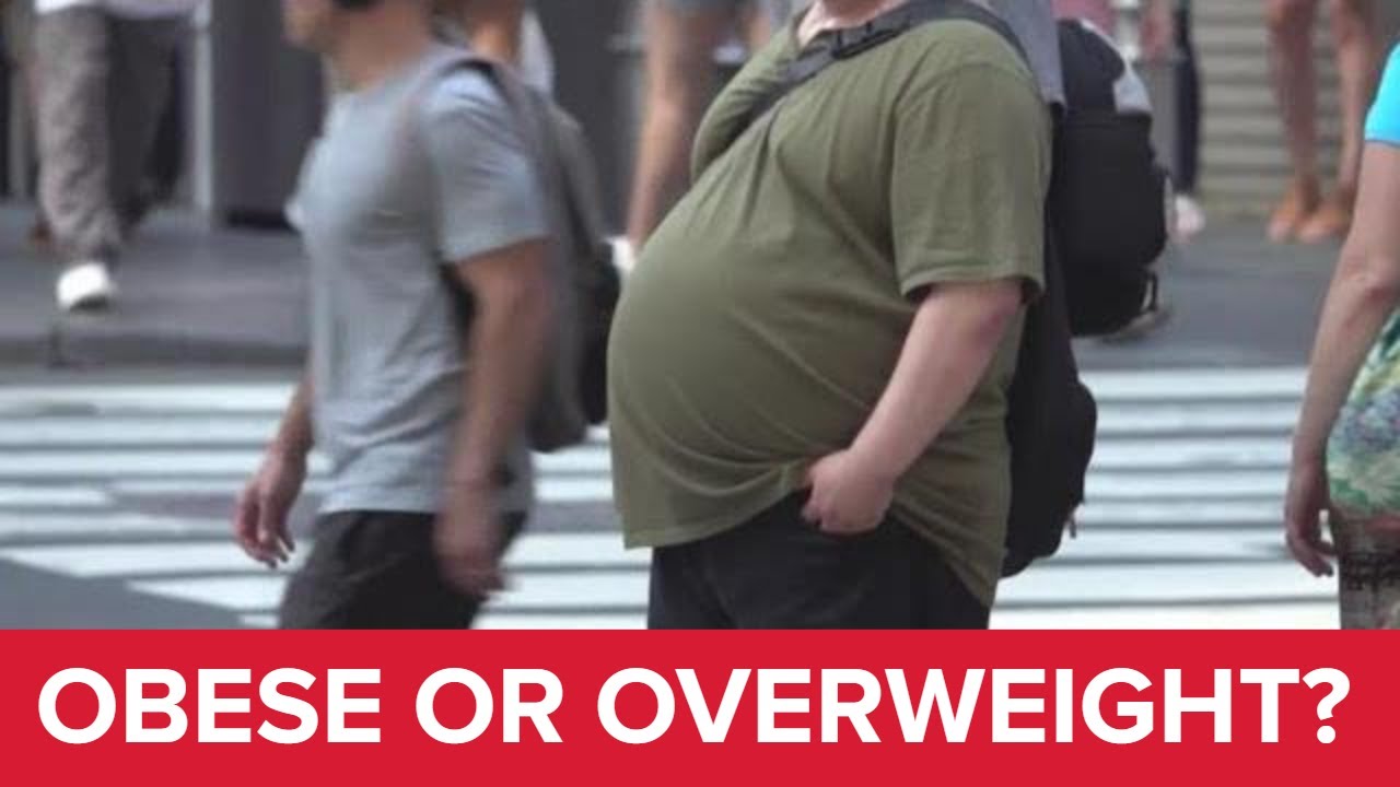 What qualifies as obese or overweight?