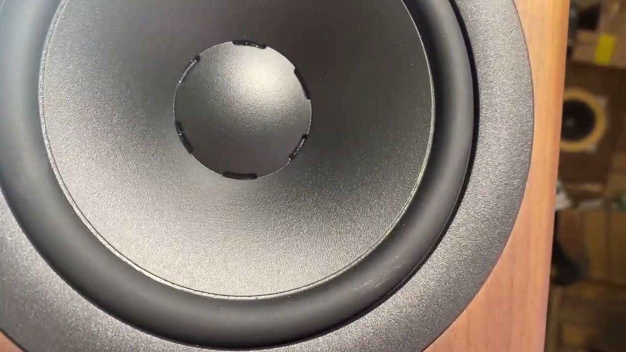 DYNAUDIO Evoke10. Ремонт відірваного підвісу, вимірювання параметрів, фільтр.