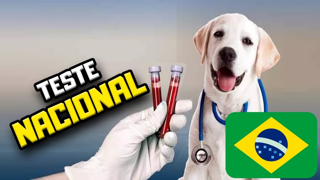 Teste BRASILEIRO de Alergia para Cães da TECSA | Dr. Edgard Gomes | Alimentação natural para Cães