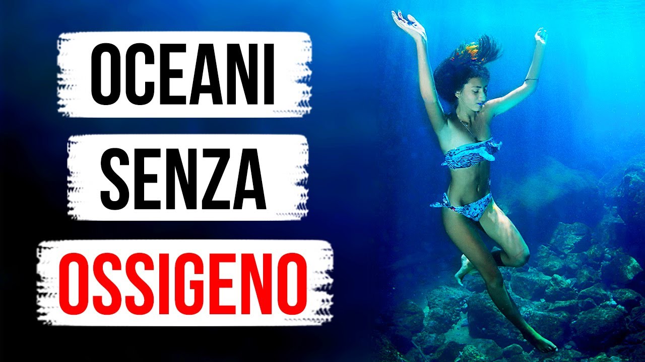 Che Succederebbe se Domani non ci Fosse Più Ossigeno nell’Oceano
